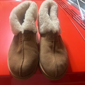 Ugg booties for men! Size 13